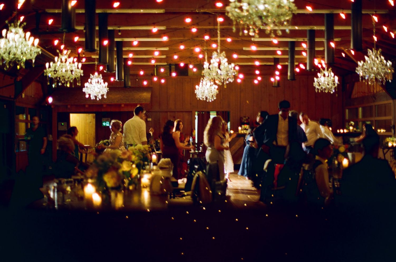 Warmly lit Kurtz Orchards wedding reception in Niagara-on-the-Lake with crystal chandeliers, string lights, and mingling guests.