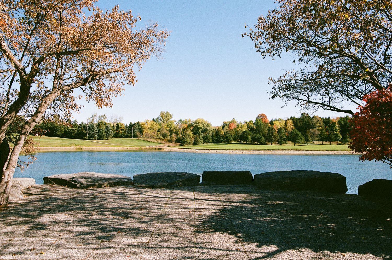 Autumn lakeside park with colorful trees and calm water at The Manor in King City wedding venue.
