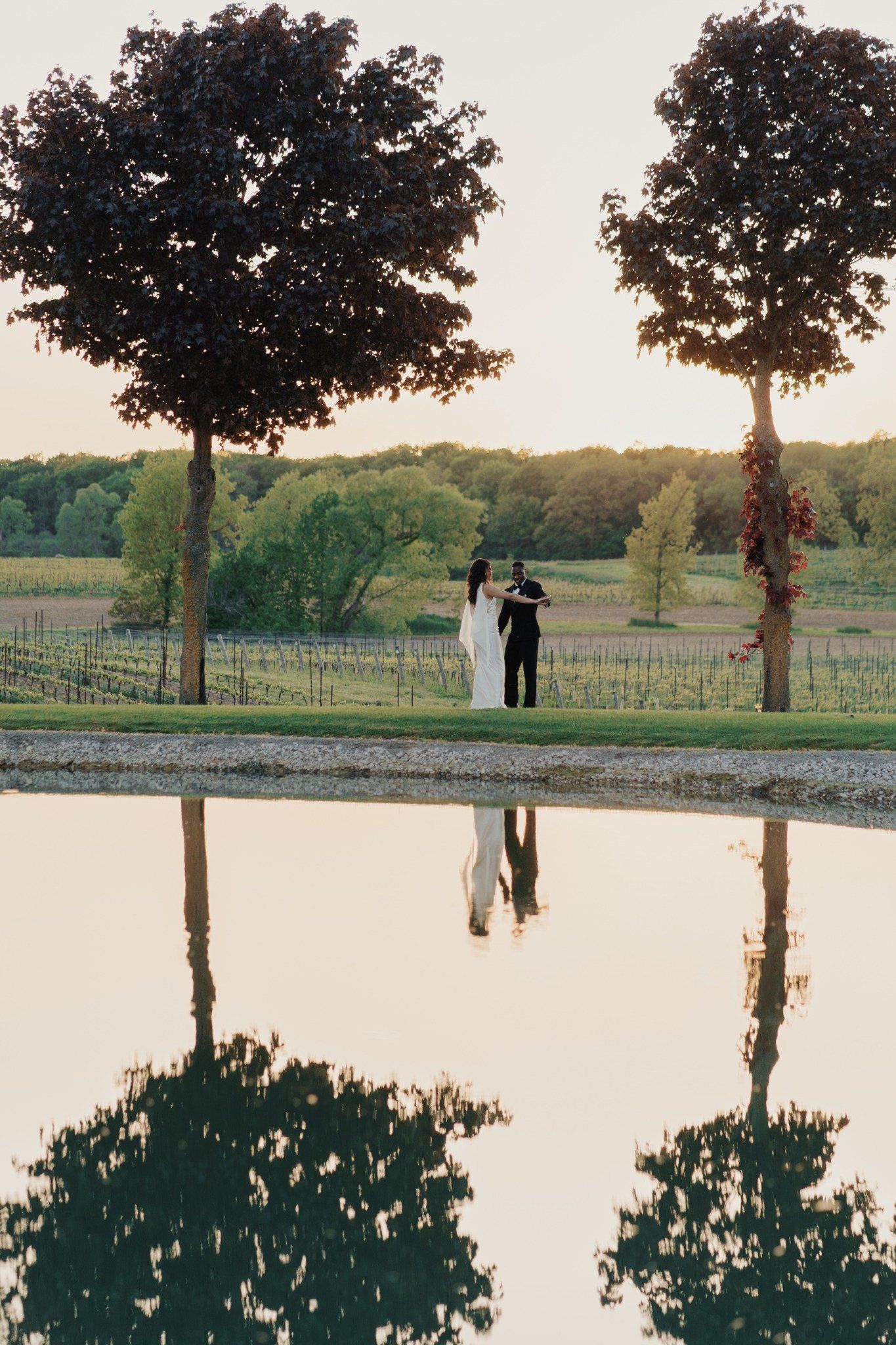 Bride and groom share a romantic moment by a reflective pond at sunset, framed by two trees at a vineyard wedding.