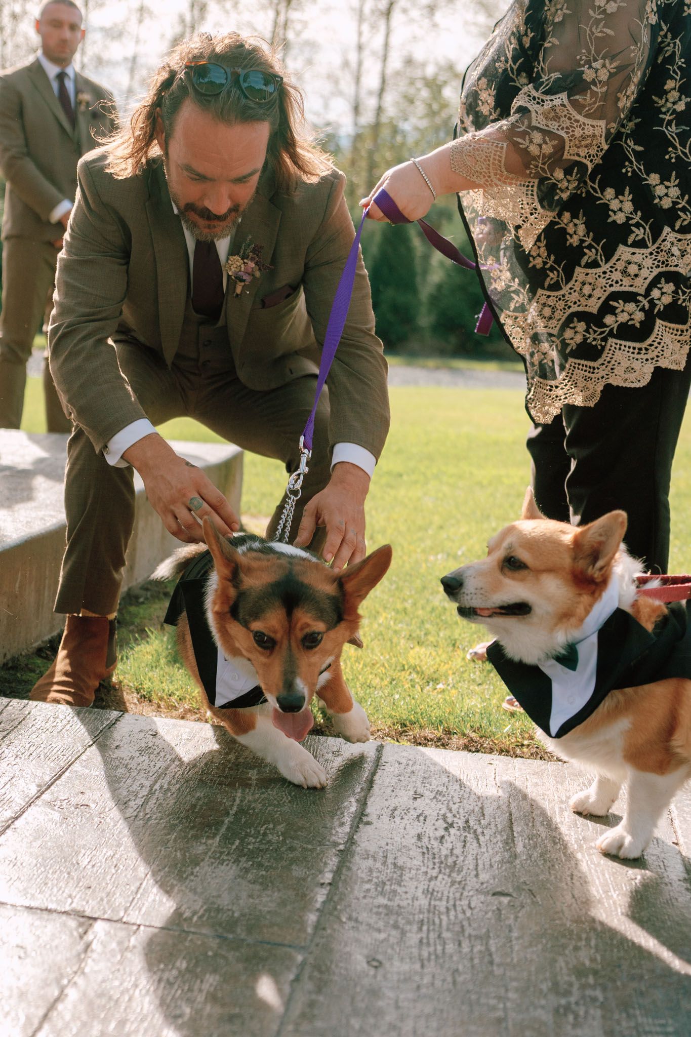 Man in brown suit petting two Corgis in tuxedo bandanas at Bridlewoods Event Center in Chilliwack for Vancouver wedding photography