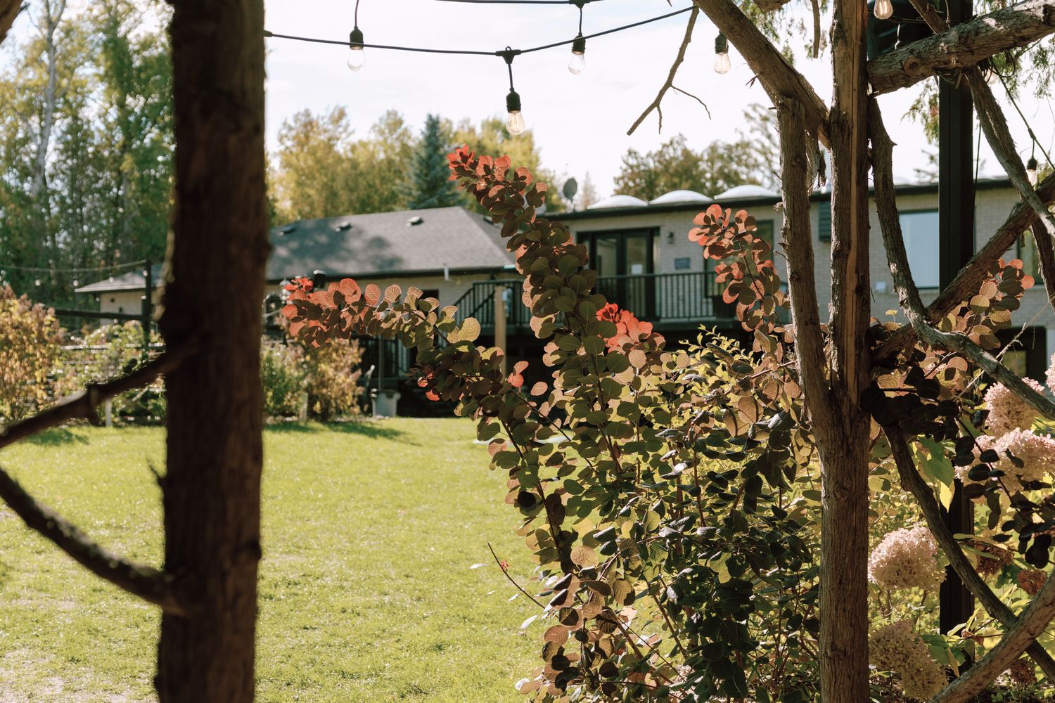Lush garden with flowering vines, string lights, and cottage at Razi Estate in Schomberg for romantic forest wedding photography.