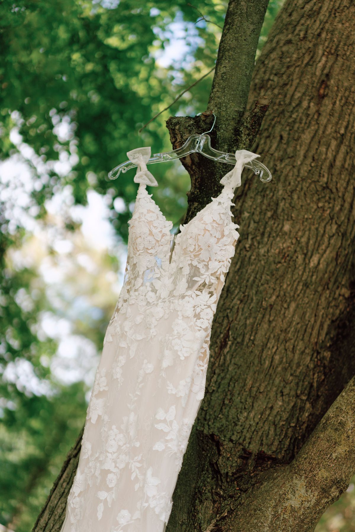 Lace wedding dress hanging from a tree branch against green foliage at Kurtz Orchards in Niagara-on-the-Lake wedding morning.