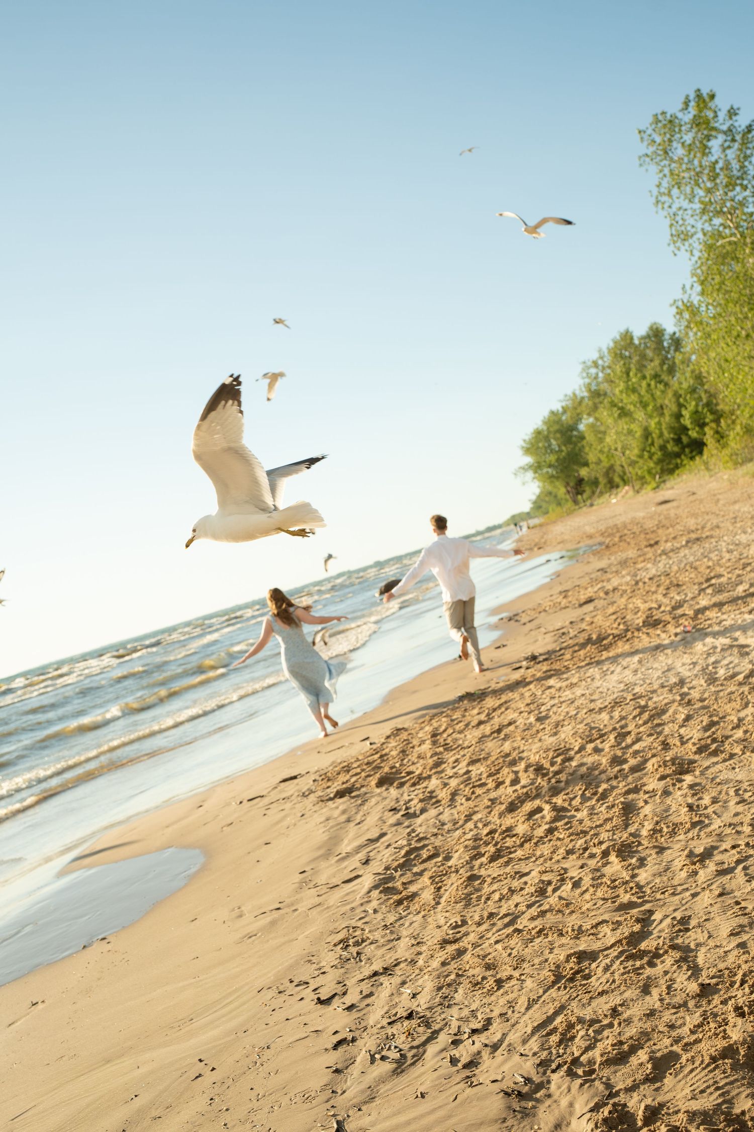 Couple runs along sandy beach shore as seagulls fly overhead in clear blue sky.