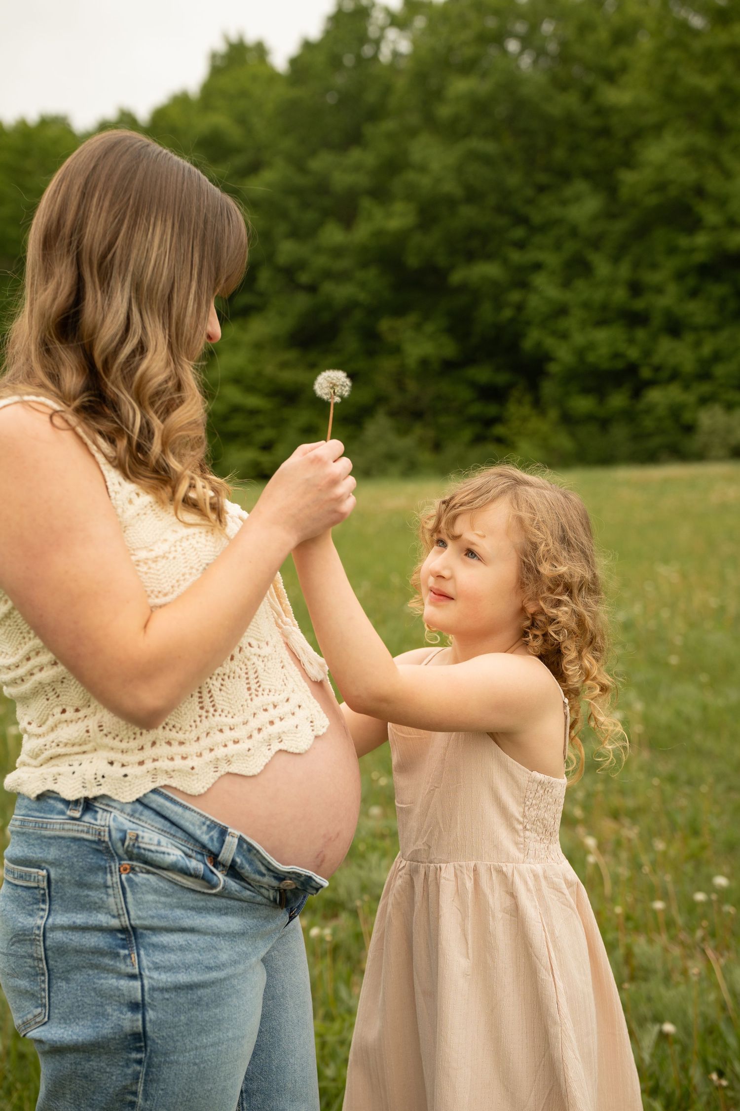 Pregnant woman in crop top and jeans holding a dandelion with her young curly-haired daughter in a field.