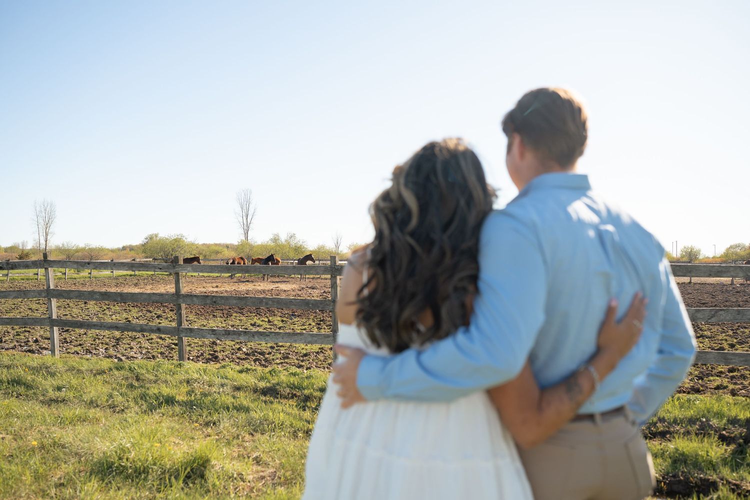 Couple embraces while looking at horses grazing in a sunny farm field.