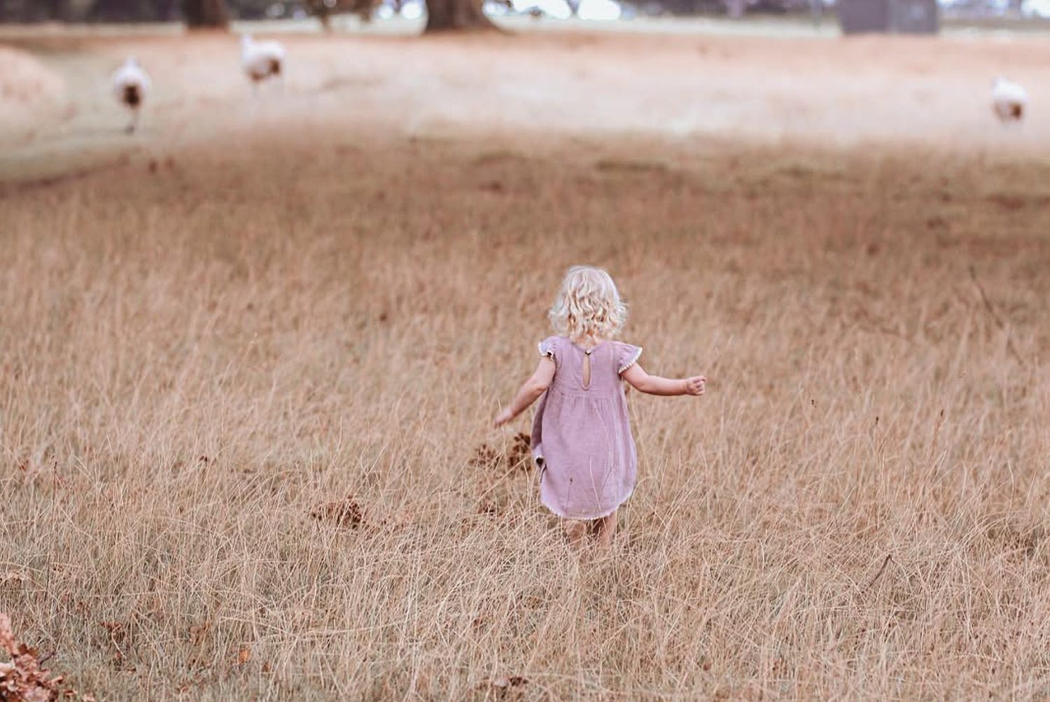 Family session at Cornwall Park, Epsom. Toddler running through the grass.