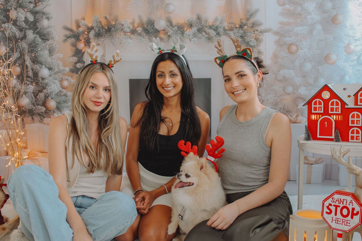 Friendmas Photos and fur baby, Studio in Auckland