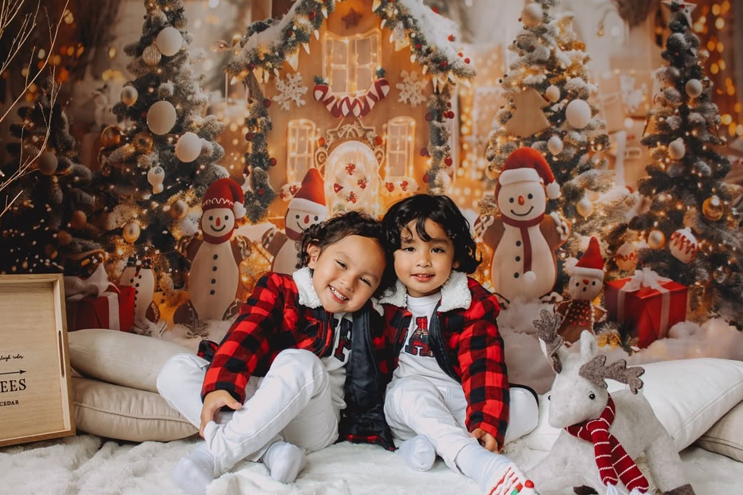 Christmas mini sessions photos, Auckland studio, for familys.