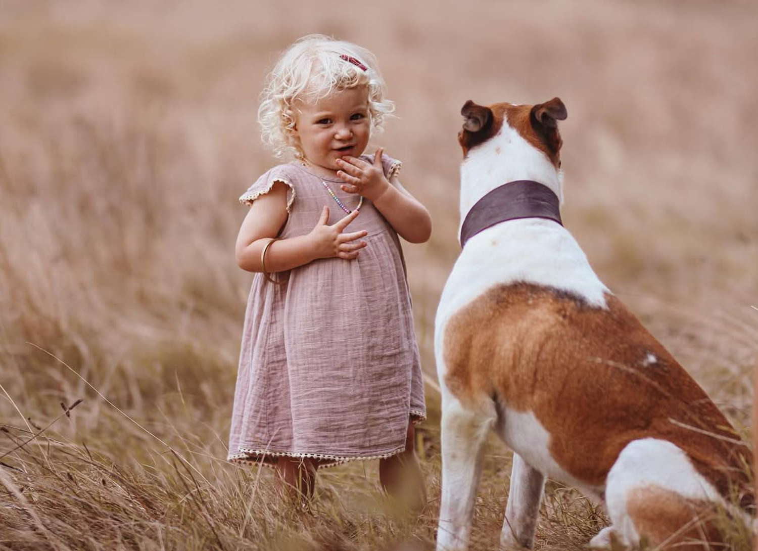 Toddler girl running through long grass during a golden hour family session.