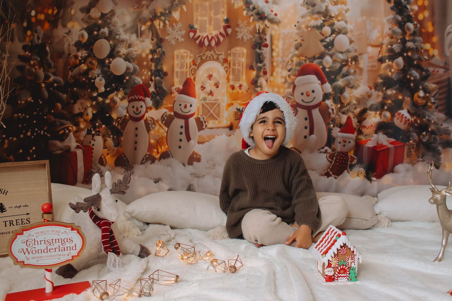 Christmas Minis photos  in Auckland