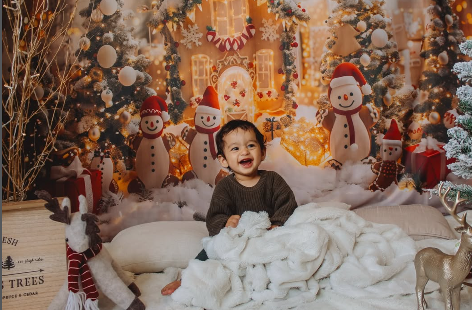 Mini sessions studio photos, Auckland