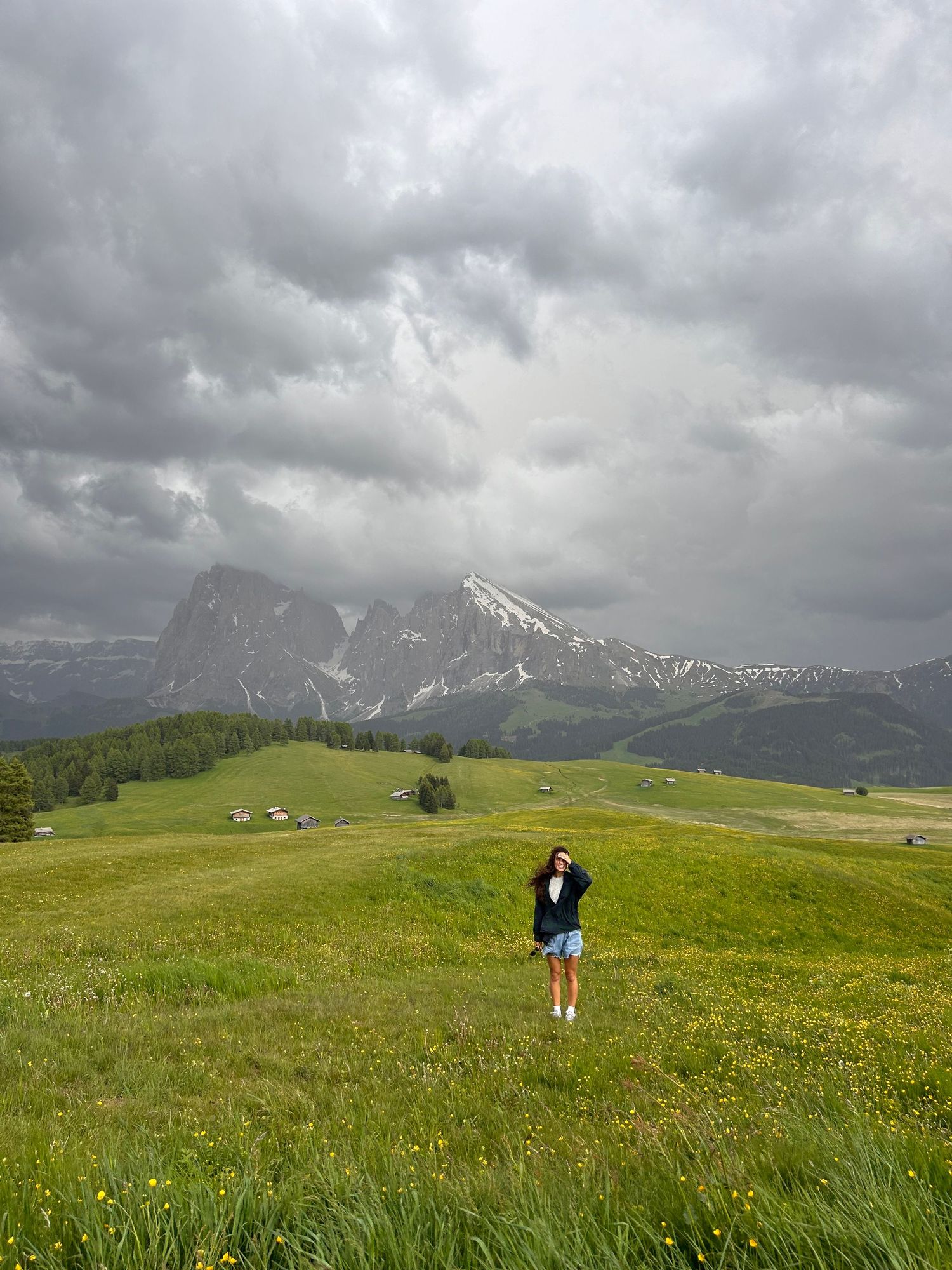 Alpine meadow with dramatic cloudy skies and snow-capped mountain peaks in the background.