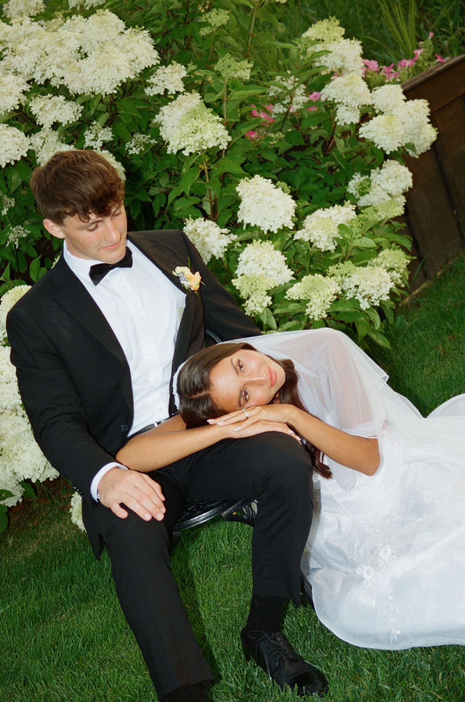 Couple in formal wedding attire relaxing on grass near blooming white hydrangea bushes in garden setting.