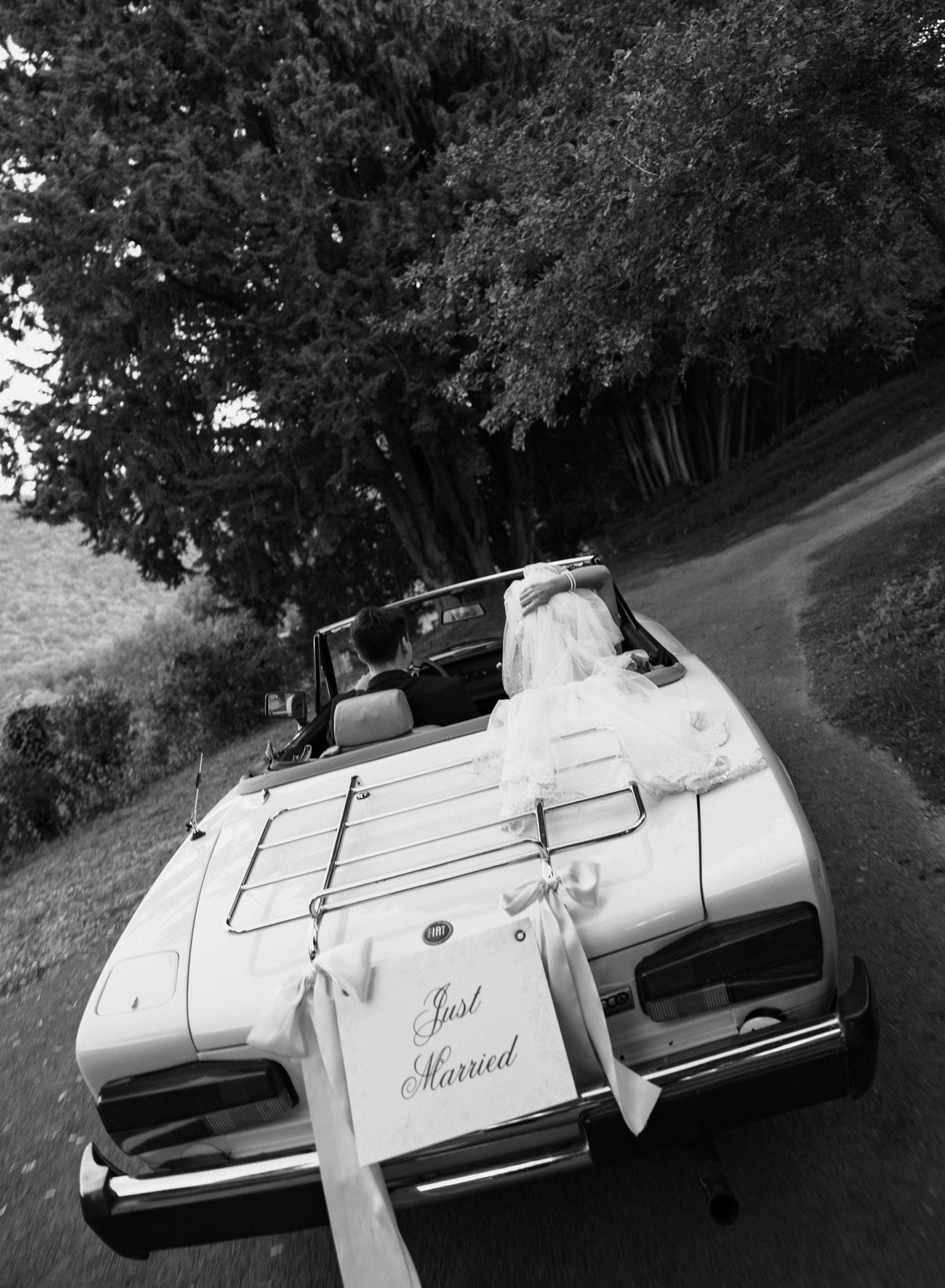 Classic white Ford Thunderbird convertible photographed from different rear angles in a wooded outdoor setting.