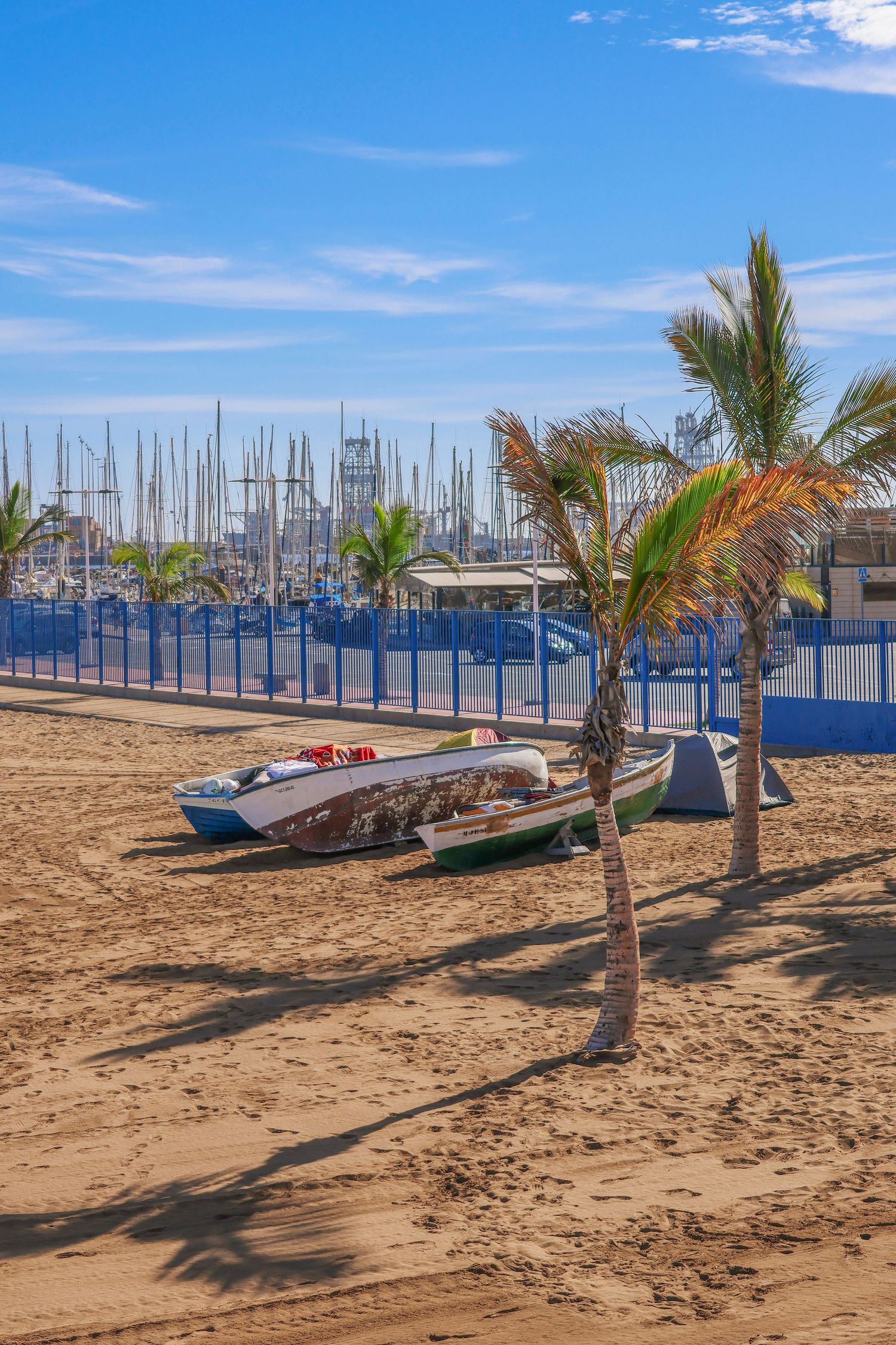 Marina with sailboat masts and palm trees on sandy beach against blue sky.