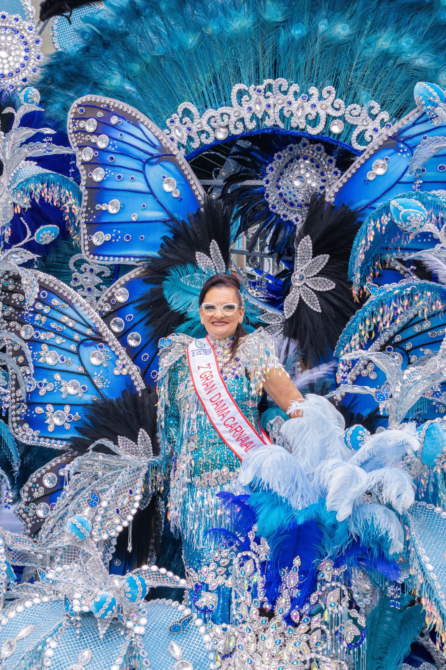 Elaborate carnival costume in shades of blue and silver with large butterfly wings, feathers and crystal embellishments.