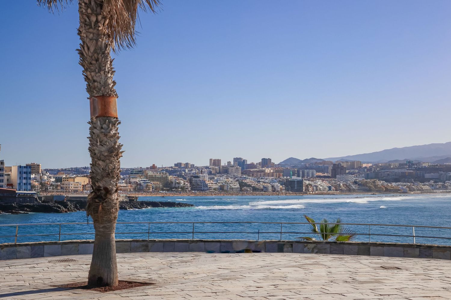 Palm trees line a scenic coastal promenade with blue Mediterranean waters and city buildings in the background.