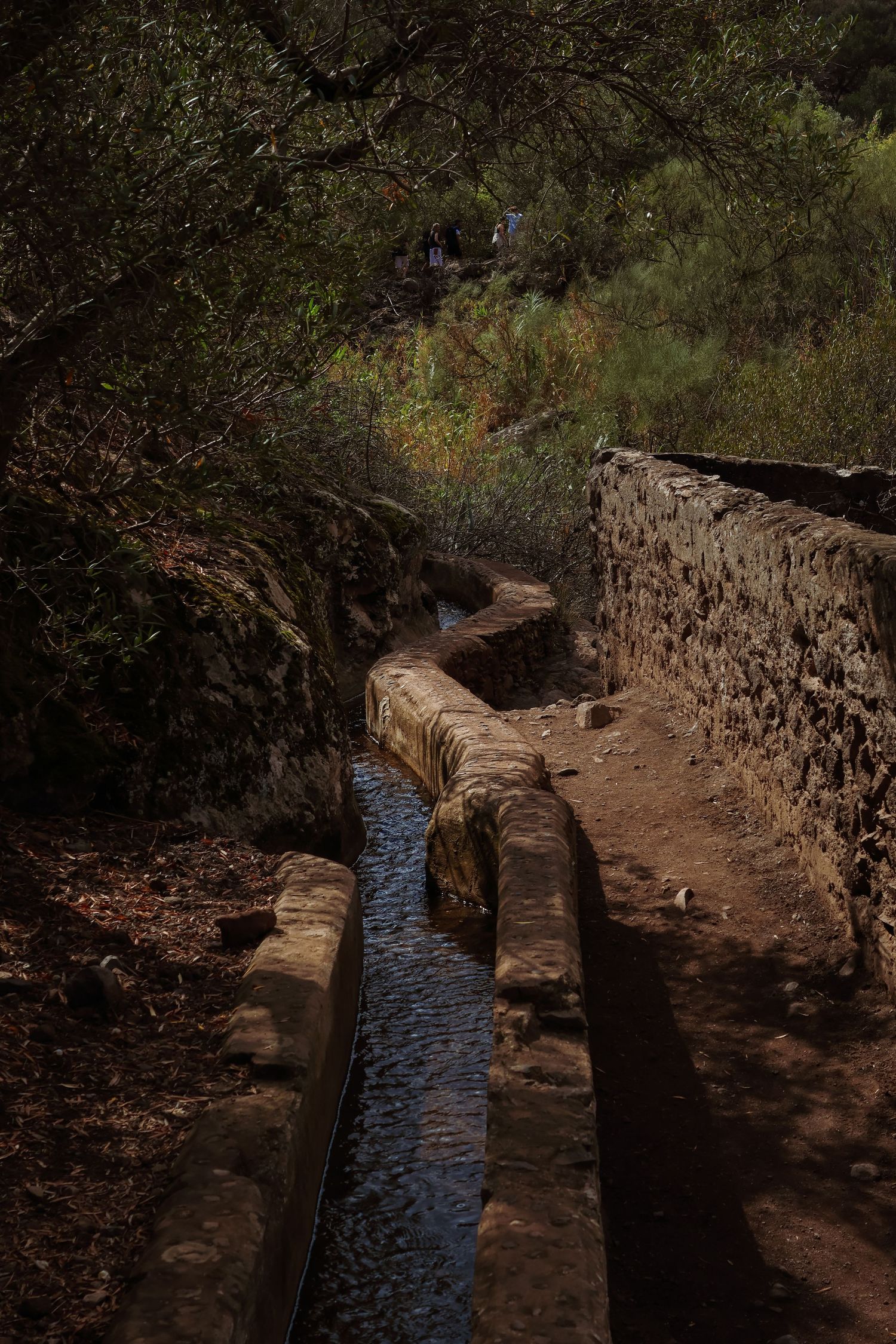 Stone-lined water channel winds through a wooded trail with sunlight filtering through the trees.