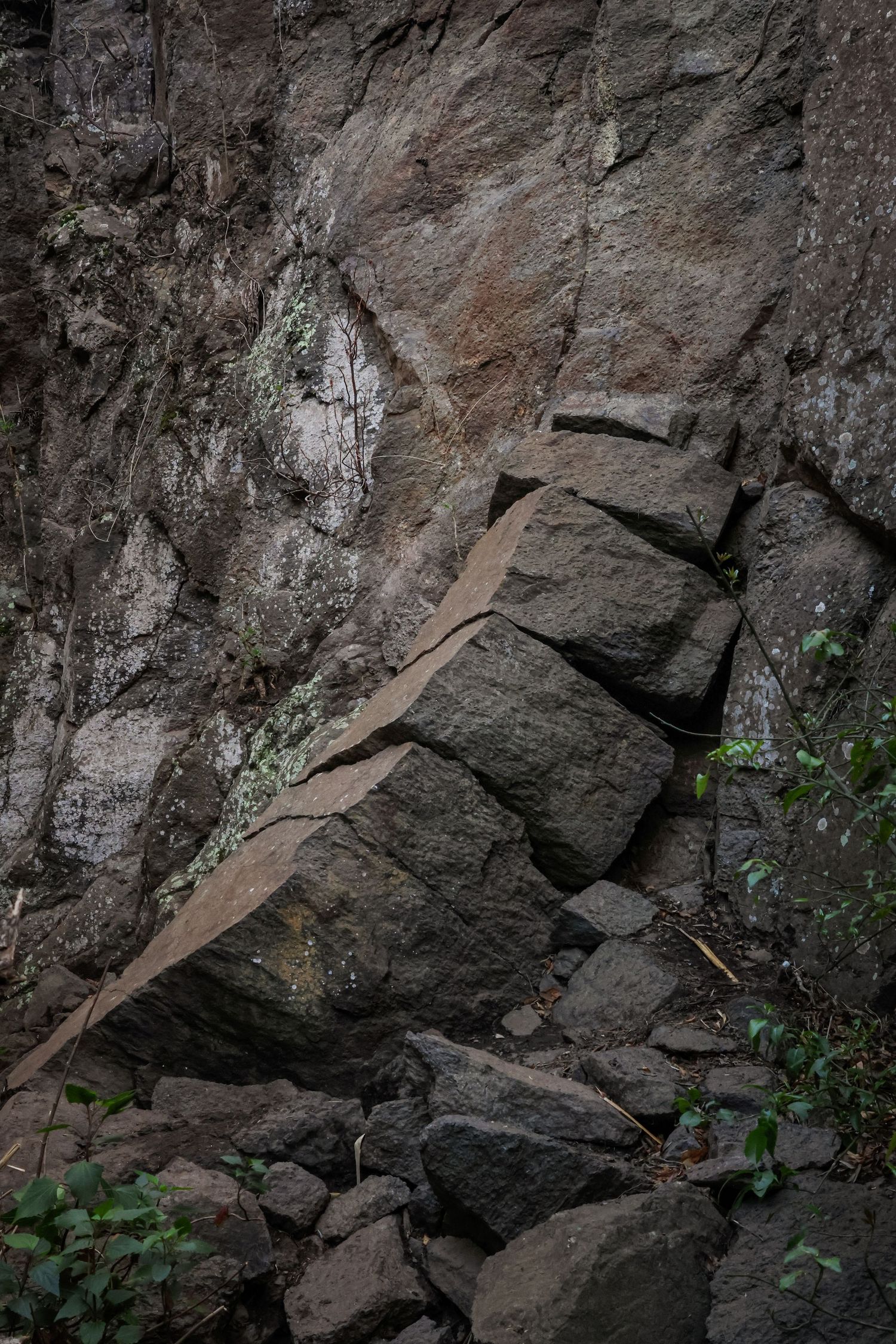 Close-up view of dark rocky cliff face with scattered green vegetation growing between cracks and crevices.