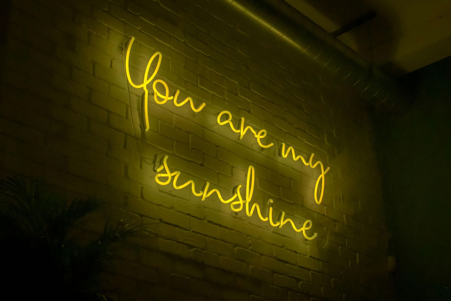 Yellow neon sign glowing with cursive text mounted on a dark wall in low light conditions.