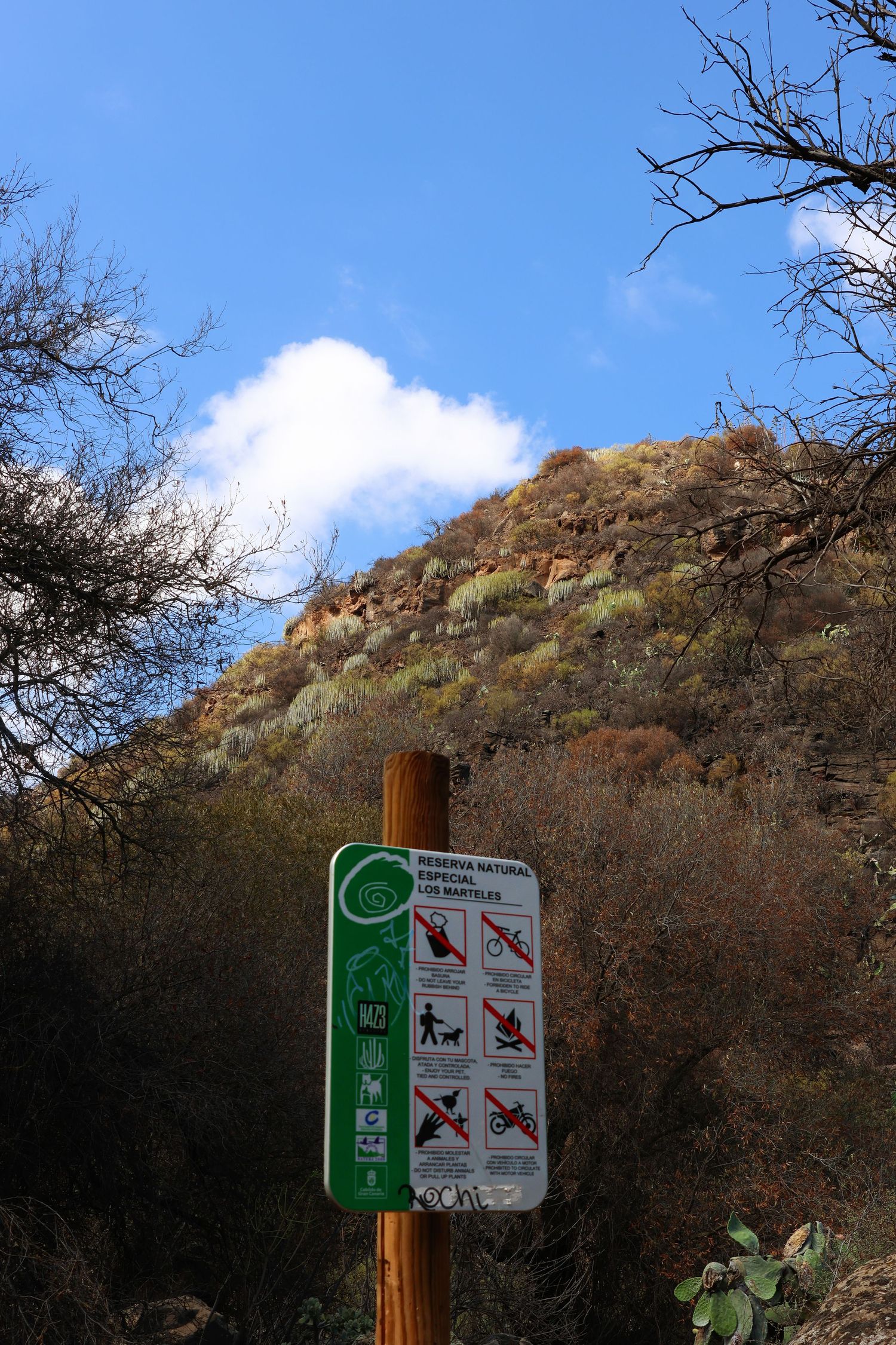A trail sign post with green and white markers indicating hiking rules and restrictions against a backdrop of rocky hills.