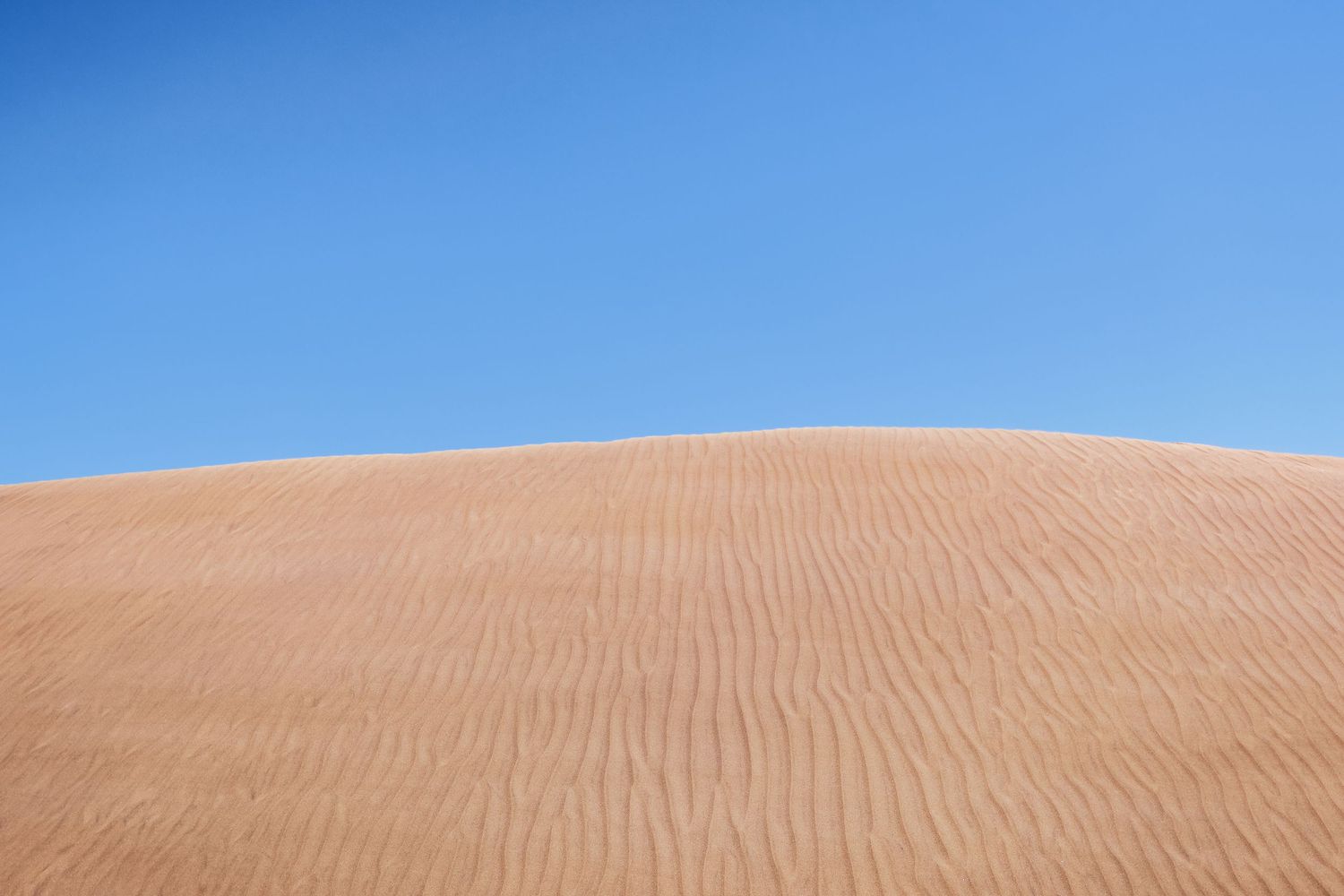 Rolling sand dunes stretch across a vast desert landscape under clear blue skies in a scenic panoramic view.