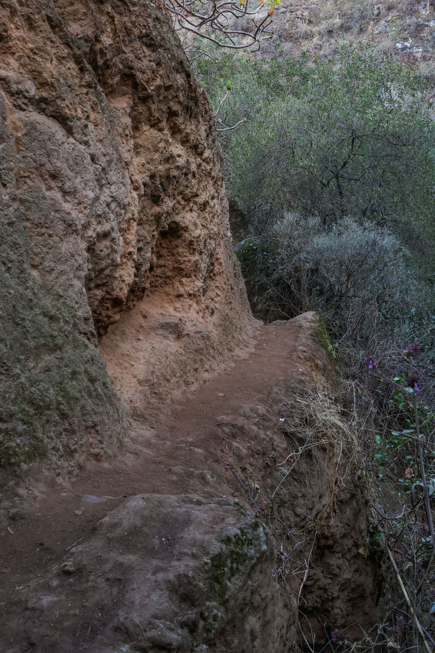 A winding dirt trail curves along rocky cliffs surrounded by green shrubs and vegetation in a natural landscape.
