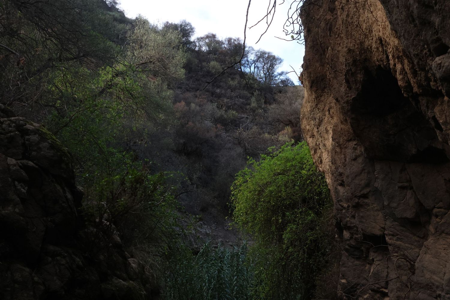 A series of natural rock formations and caves along a mountainside trail surrounded by green vegetation.
