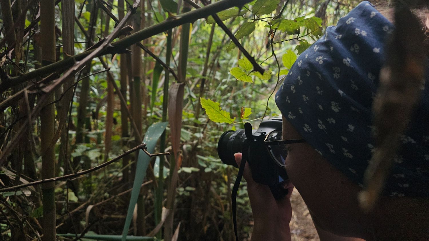 A photographer wearing a knit hat photographs wildlife through dense jungle foliage.