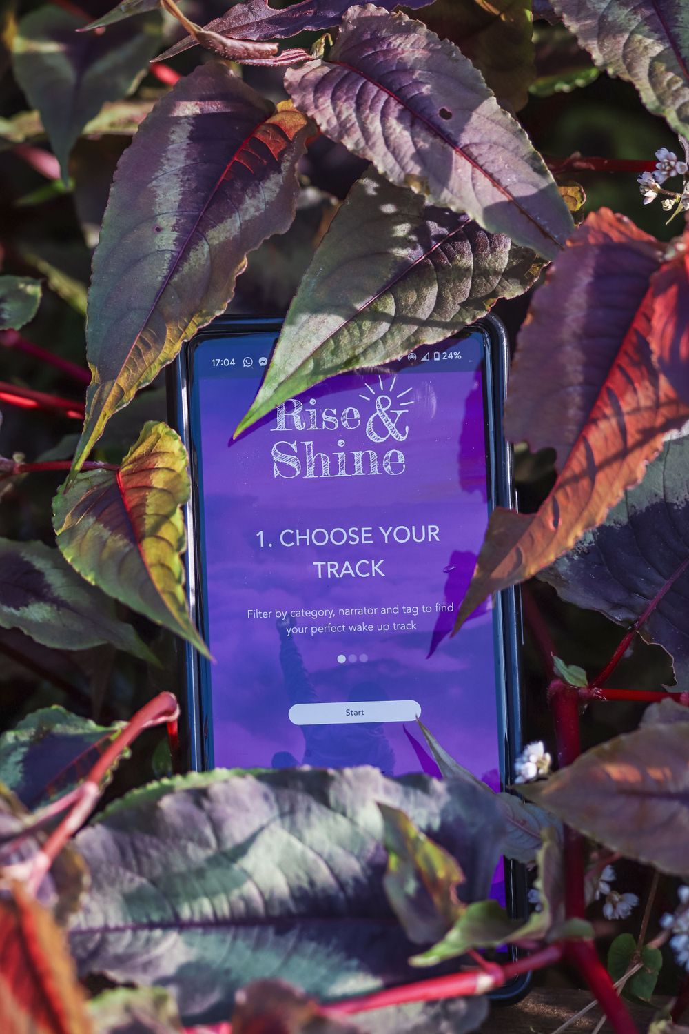 Purple game interface cards with text 'Rise & Shine' nestled among dark purple and red autumn leaves.