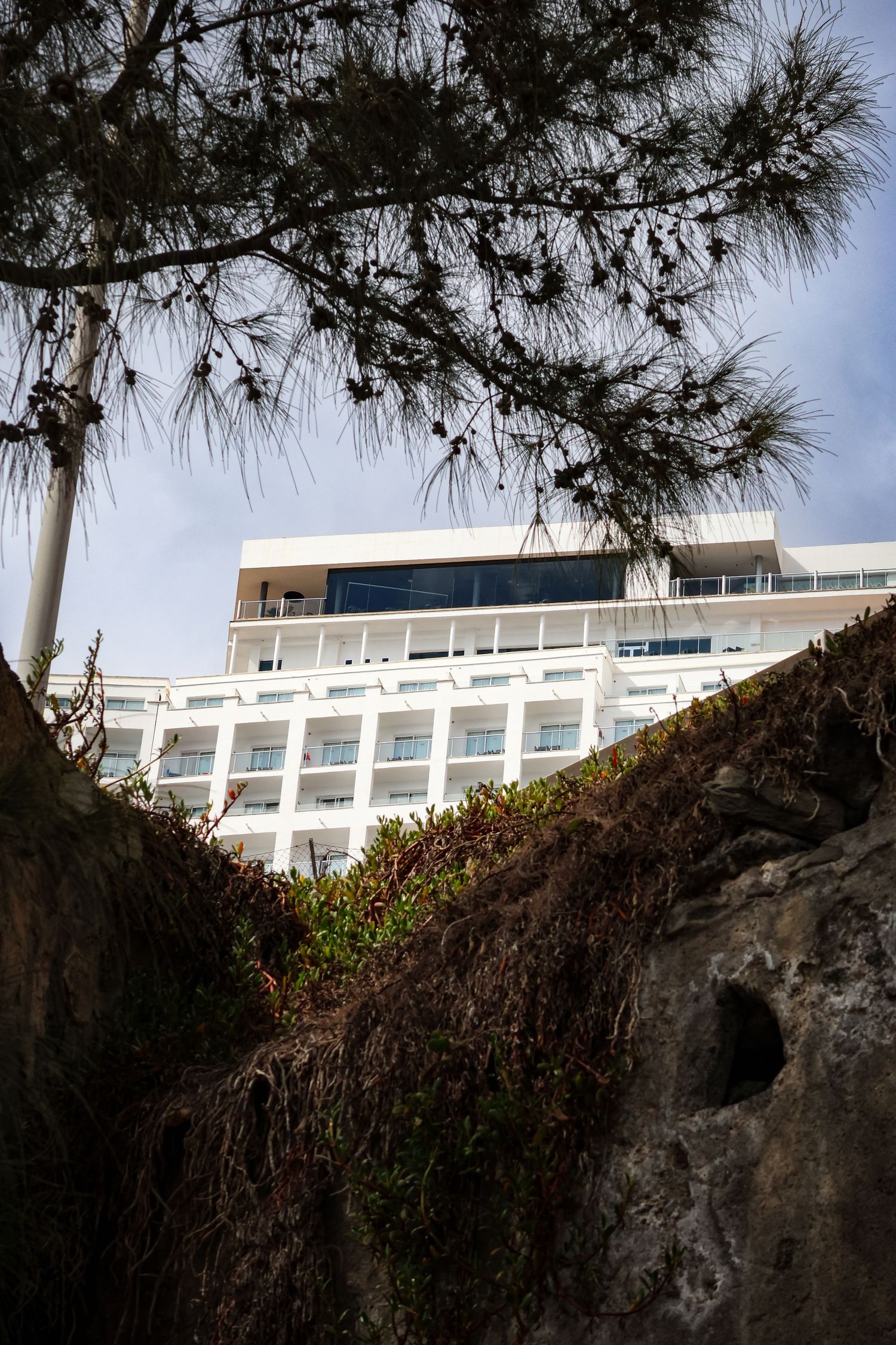 Modern hotel building with white exterior visible through pine tree branches against a blue sky.