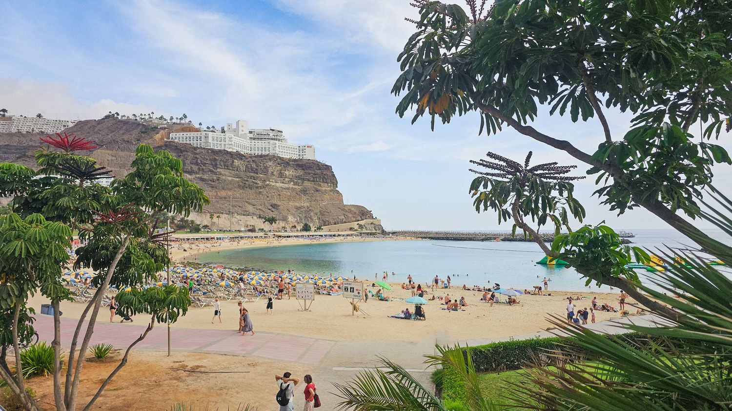 Panoramic view of a coastal beach with palm trees, rocky cliffs, and beachgoers enjoying a sunny day.