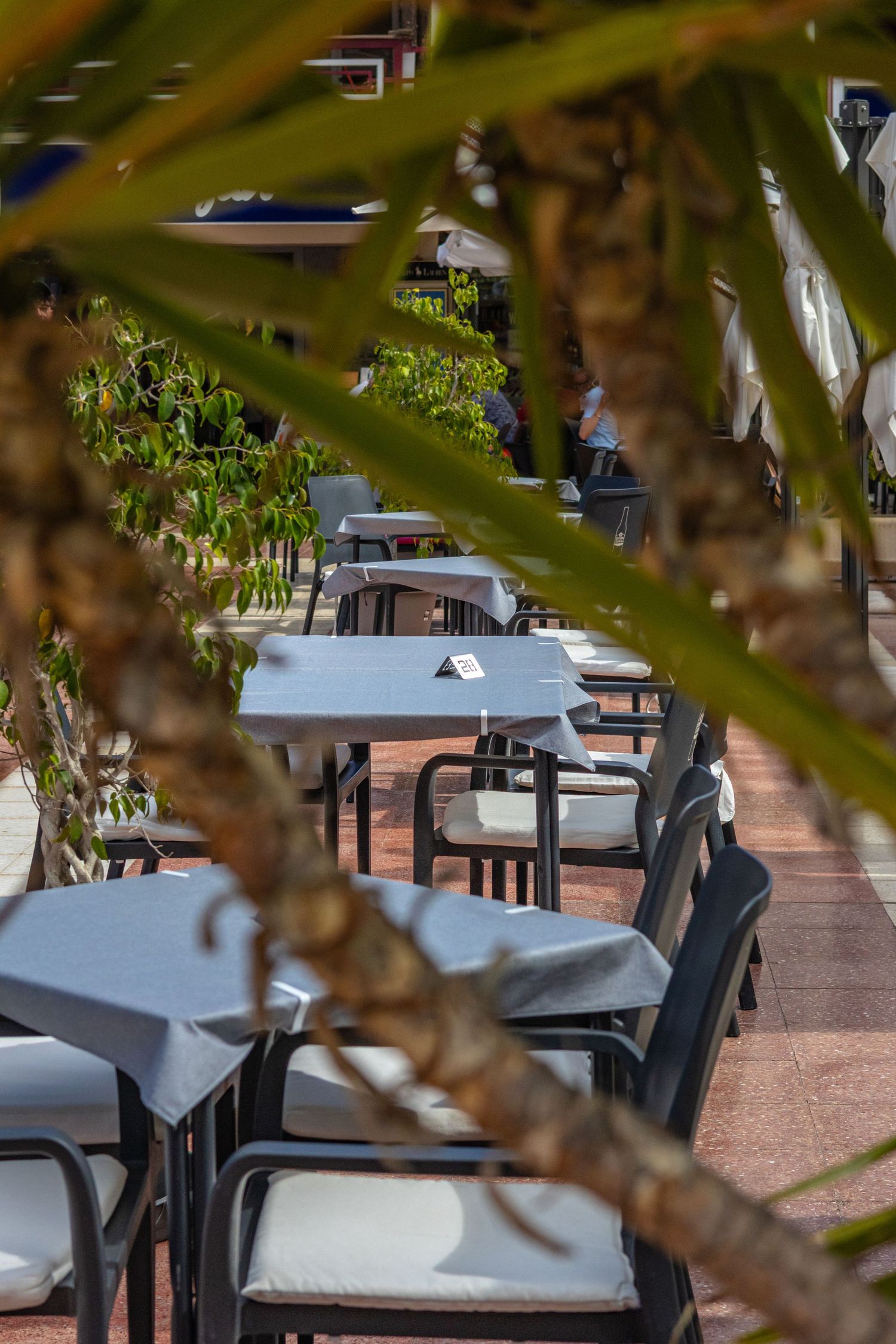 Outdoor cafe patio with white tables and gray chairs surrounded by lush green trees on a sunny day.
