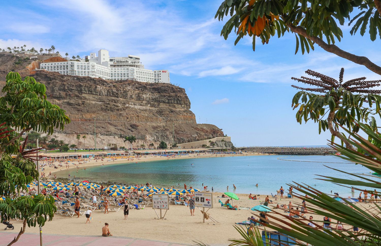 Panoramic view of Playa de Amadores beach in Gran Canaria with turquoise waters and rocky cliffs on a sunny day.