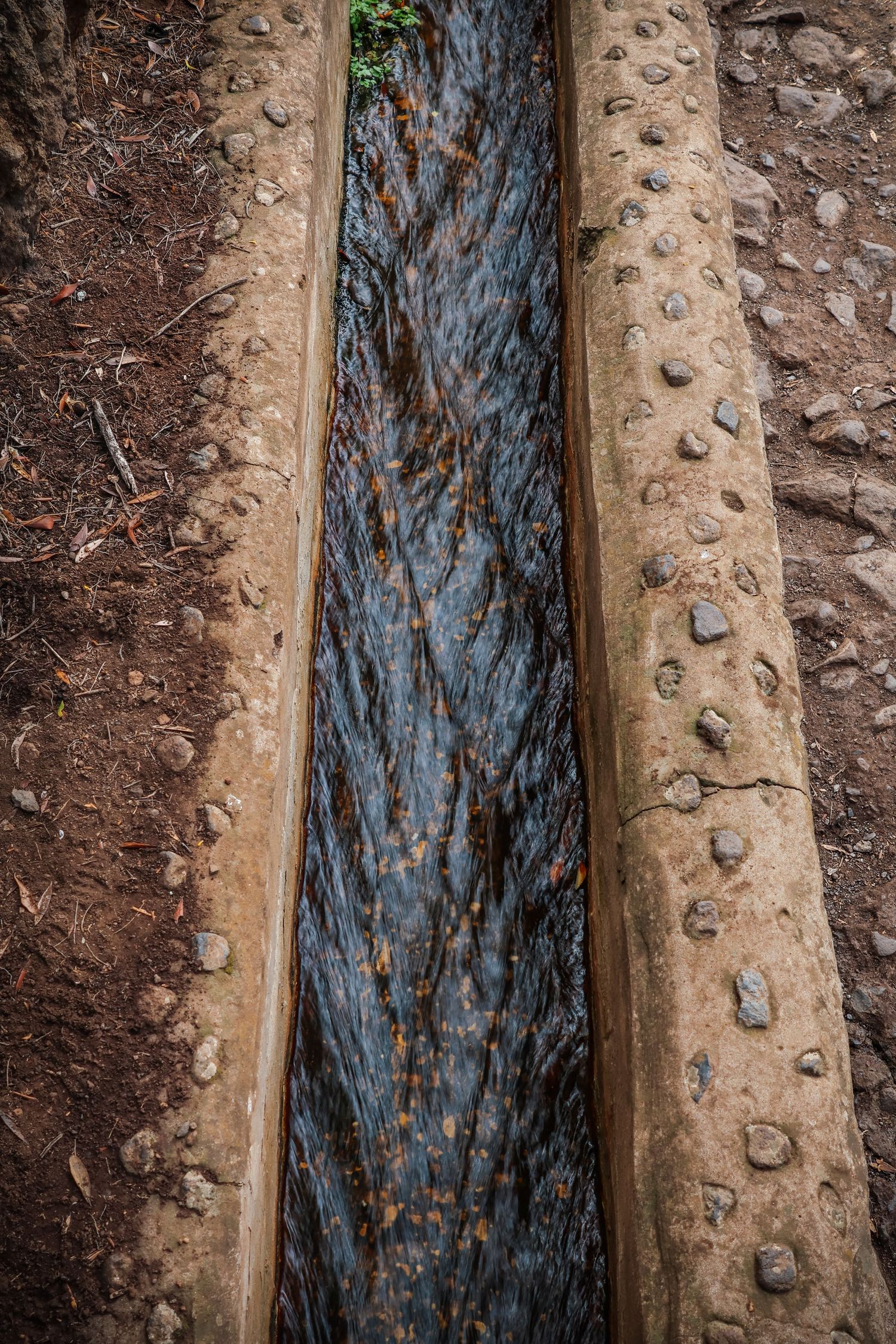 Close-up view of wooden logs with rough bark texture against a dark background showing natural wood patterns.