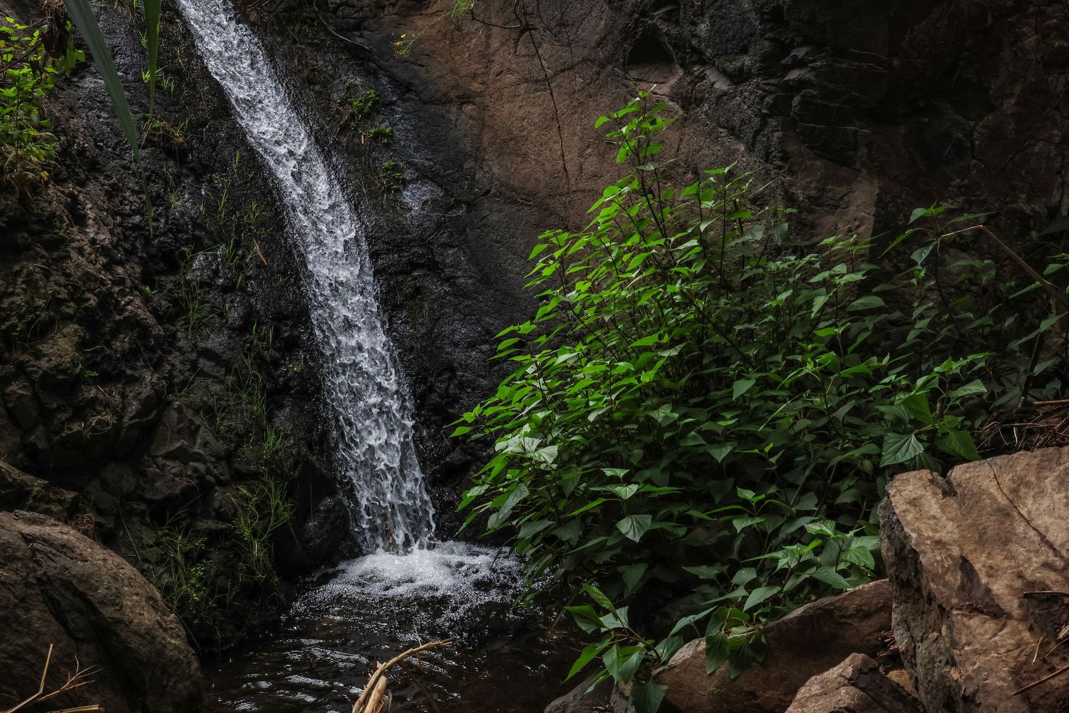 A scenic waterfall cascades down moss-covered rocks in a lush forest setting.