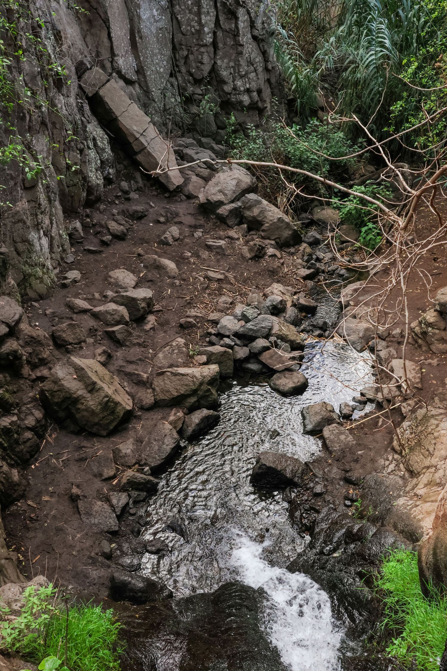 A rocky stream cascades down mossy cliffs with white rushing water flowing through dark volcanic rocks and green ferns.