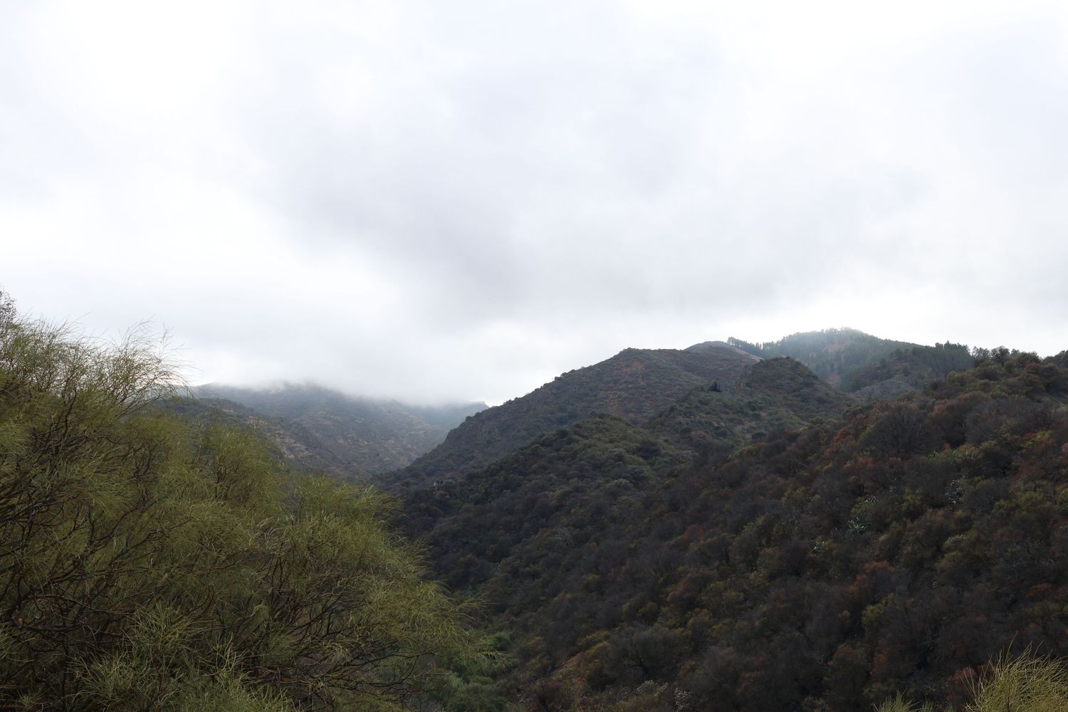 Misty mountain peaks rise above a forested landscape with dramatic cloudy skies in the distance.