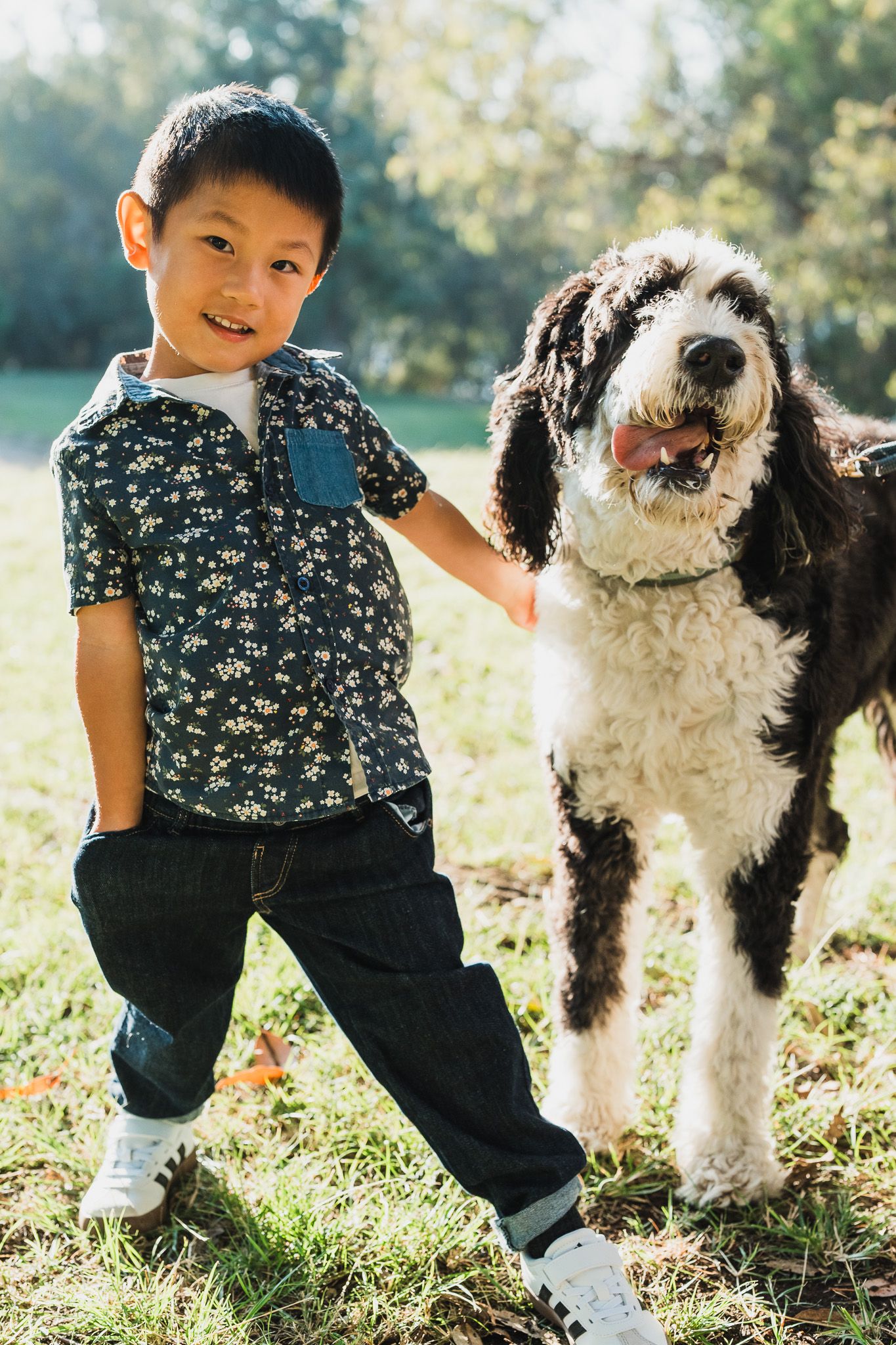 A child plays outdoors with a large black and white Old English Sheepdog on a sunny day in the grass.