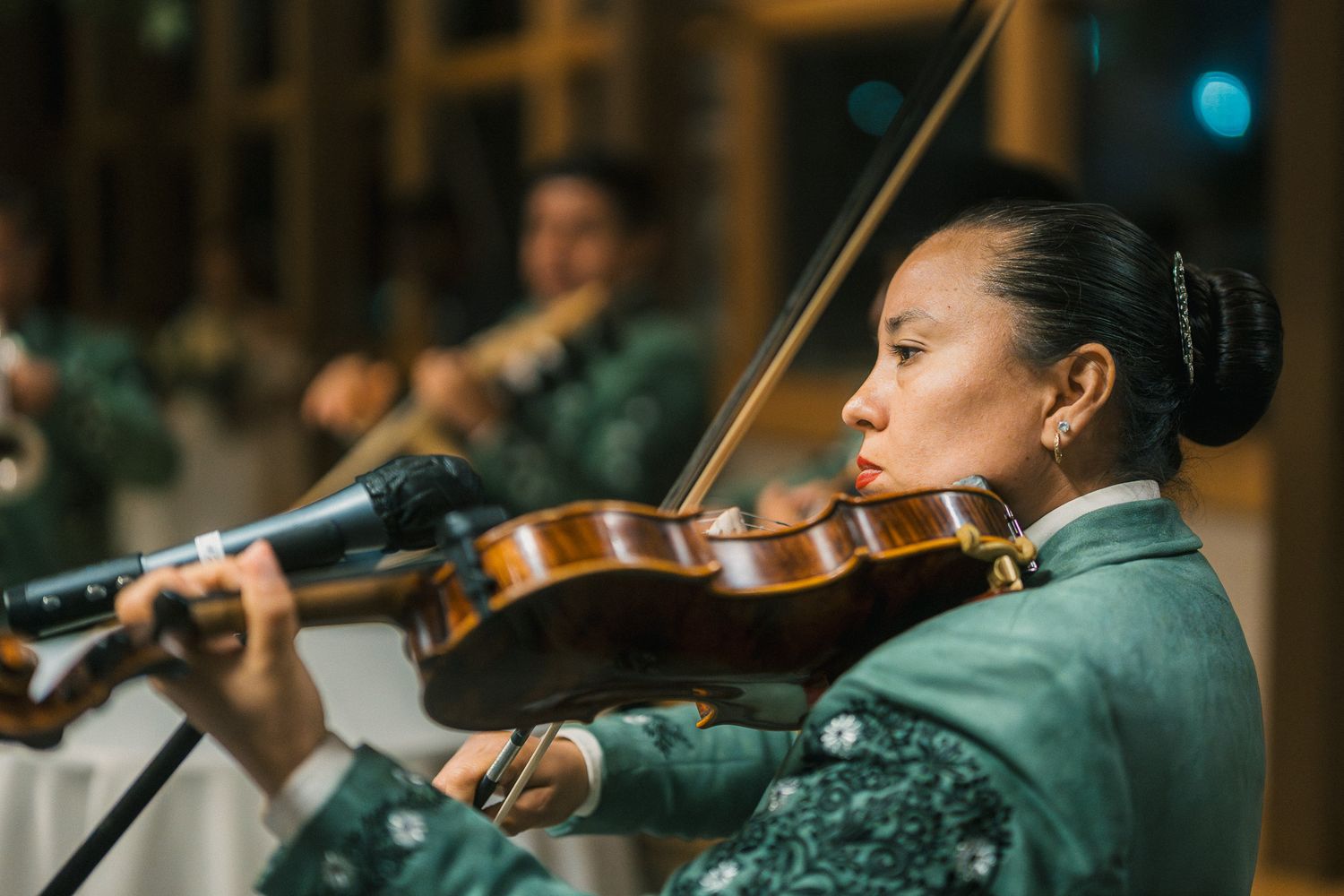 Orchestra musicians perform together on stage with string instruments and woodwinds during a classical concert.