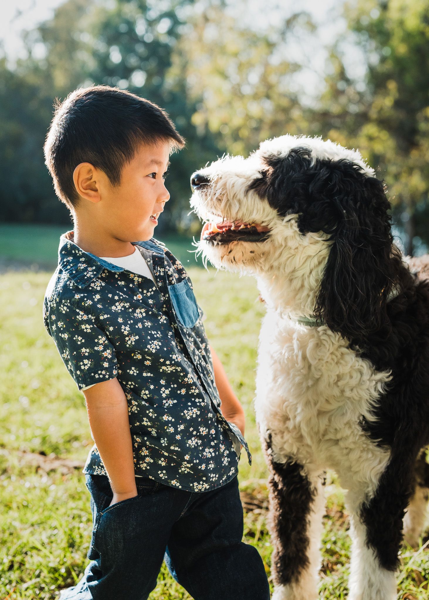 A young child in a floral shirt interacts playfully with two large dogs on a sunny grassy field.