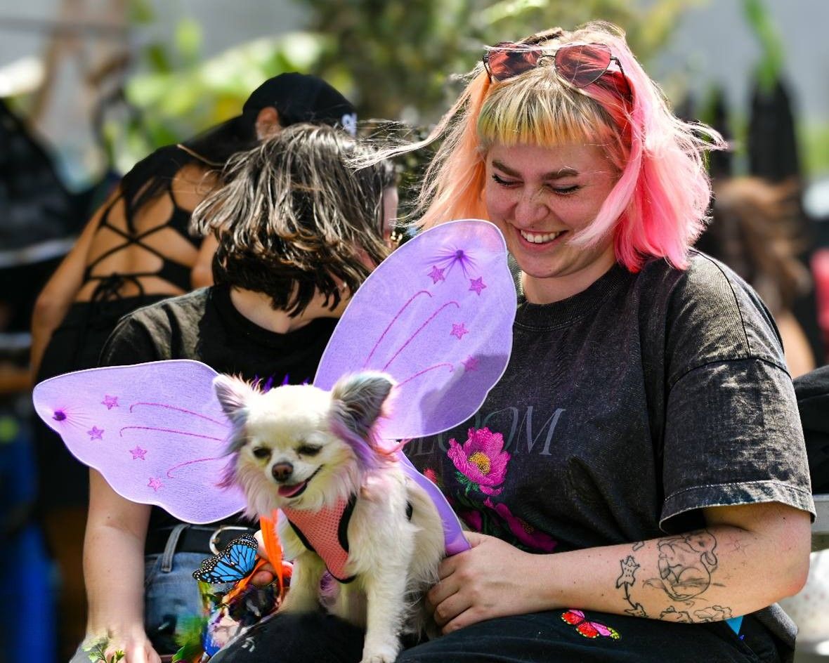 Woman with chihuahua at Melbourne pet photography event captured by kaptured.by.Priya at the Melbourne Pup event in 2025