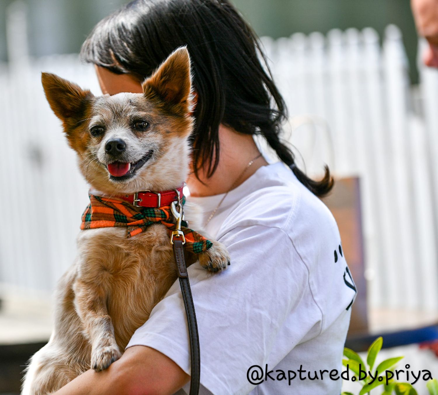 Woman with pet dog Melbourne pet and people photography by kaptured.by.Priya