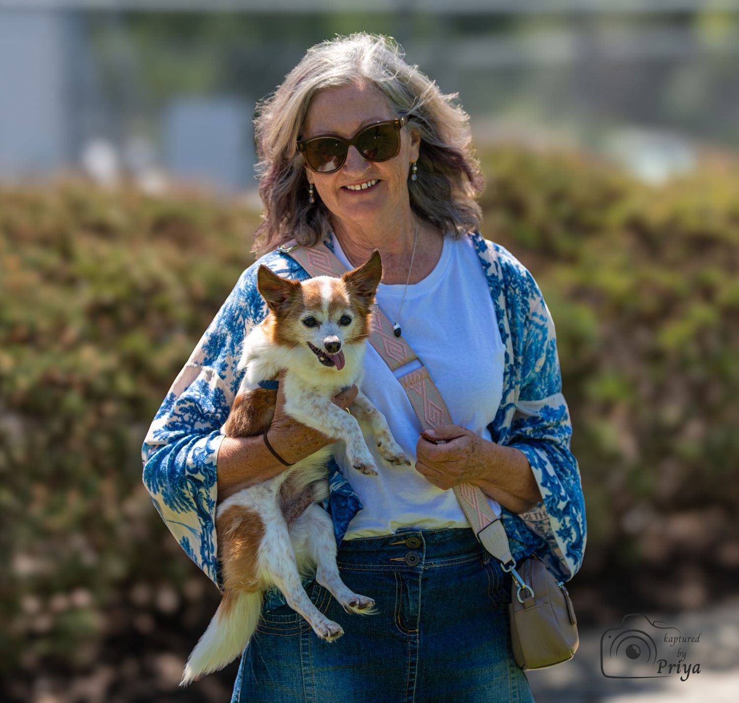 Woman with chihuahua Melbourne pet and people photography by kaptured.by.Priya