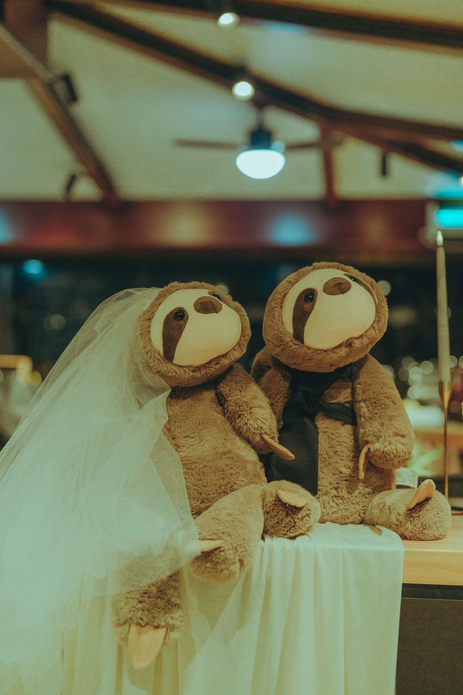 Thea & Lennon's Wedding