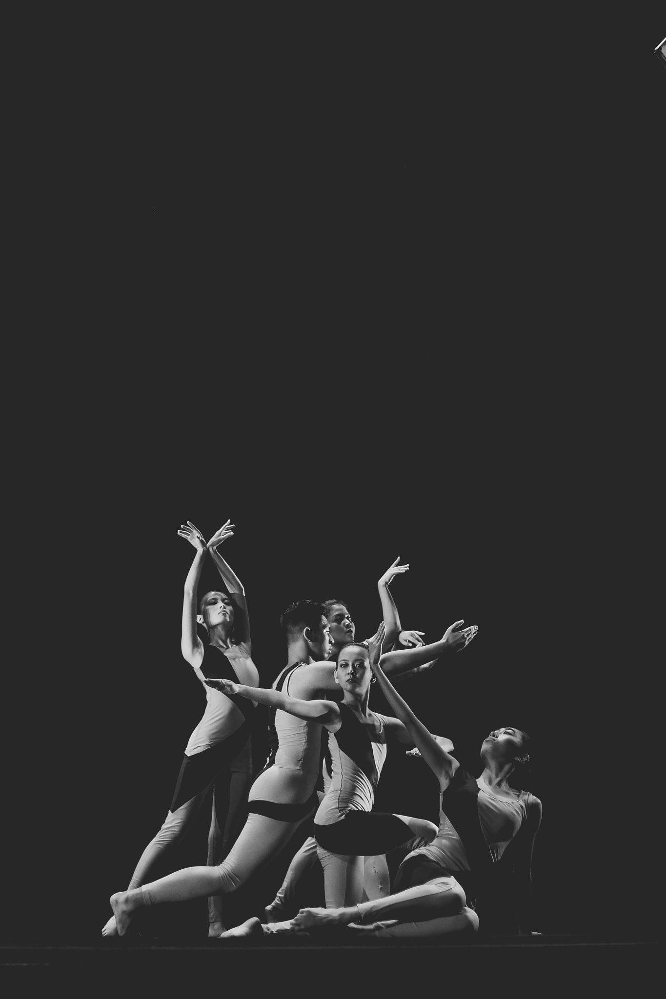 Contemporary Dance Event Coverage
