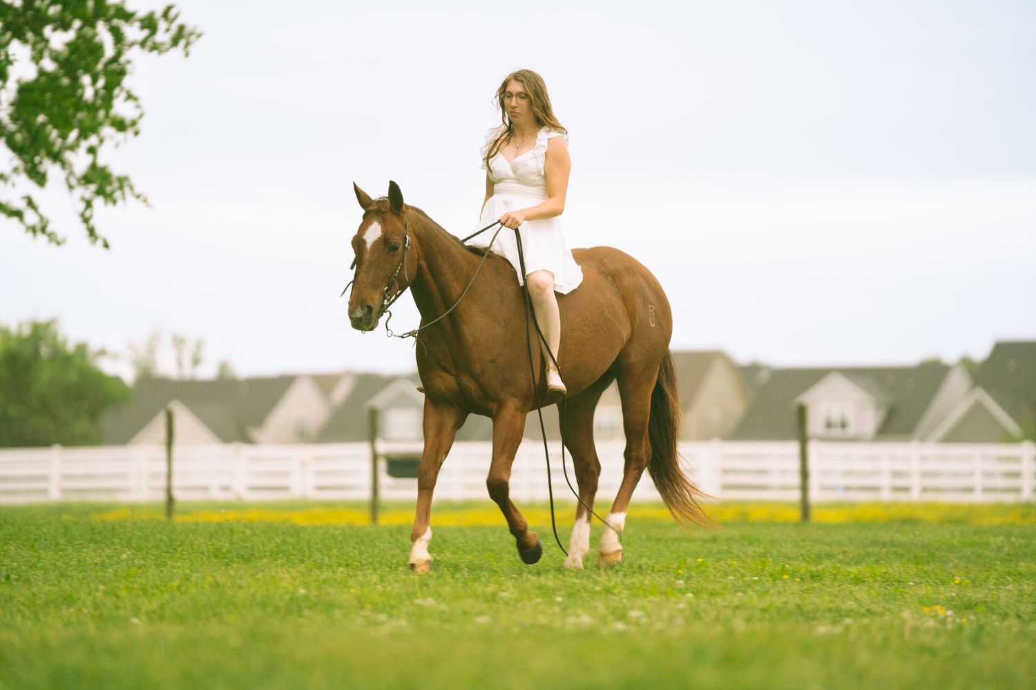 Isabella Lumley Photography Horse and Girl