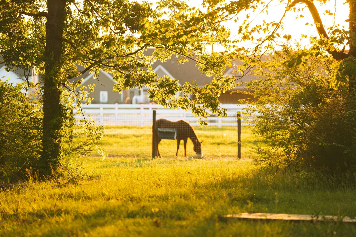 Isabella Lumley Photography