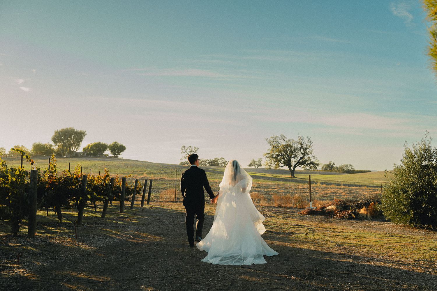Taiwan wedding photography of a bride and groom walking through a golden countryside field
