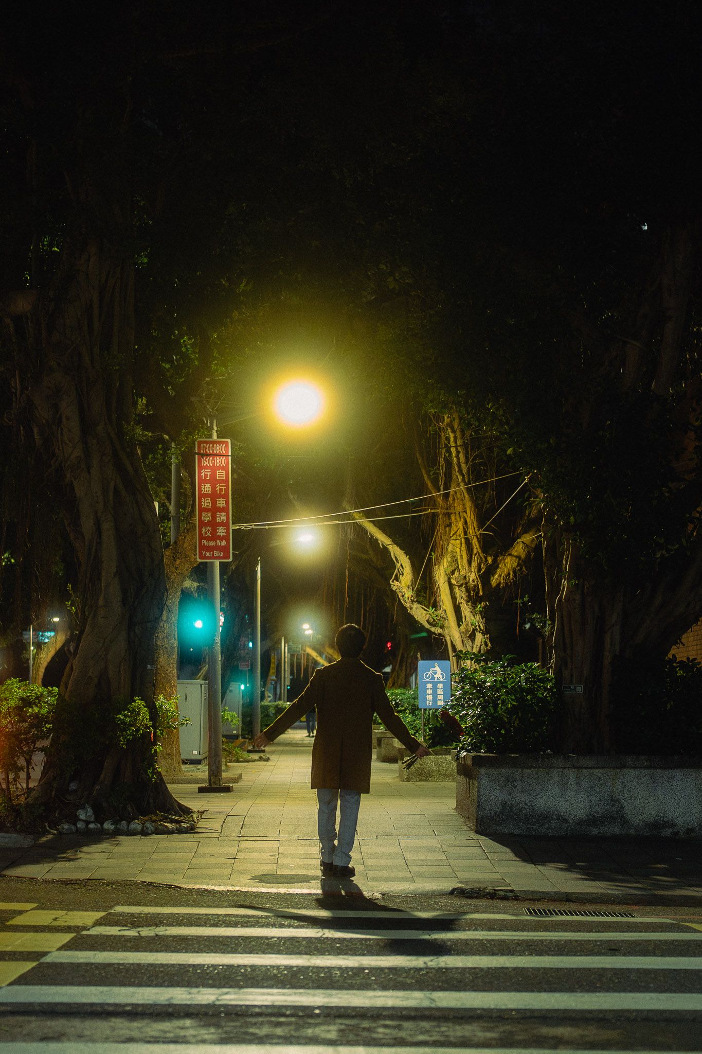 Cinematic Taipei lifestyle portrait of a traveler